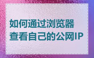 如何通过浏览器查看自己的公网IP