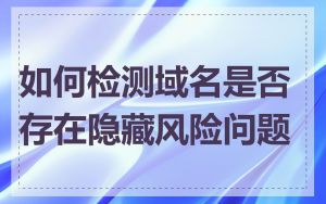 如何检测域名是否存在隐藏风险问题