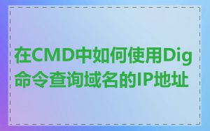 在CMD中如何使用Dig命令查询域名的IP地址