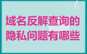 域名反解查询的隐私问题有哪些