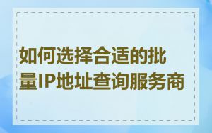 如何选择合适的批量IP地址查询服务商