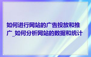 如何进行网站的广告投放和推广_如何分析网站的数据和统计