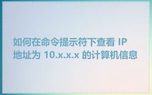 如何在命令提示符下查看 IP 地址为 10.x.x.x 的计算机信息