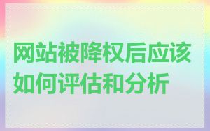 网站被降权后应该如何评估和分析