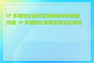 IP 多播地址如何实现网络中的数据传输_IP 多播地址有哪些常见应用场景