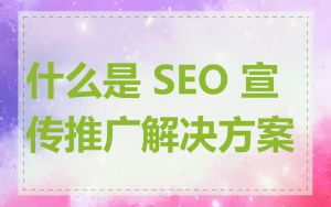 什么是 SEO 宣传推广解决方案