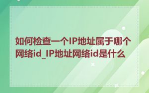 如何检查一个IP地址属于哪个网络id_IP地址网络id是什么