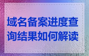 域名备案进度查询结果如何解读