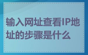 输入网址查看IP地址的步骤是什么