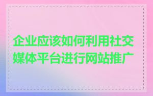 企业应该如何利用社交媒体平台进行网站推广