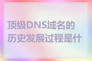 顶级DNS域名的历史发展过程是什么