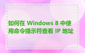 如何在 Windows 8 中使用命令提示符查看 IP 地址