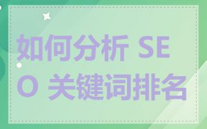 如何分析 SEO 关键词排名