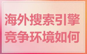 海外搜索引擎竞争环境如何