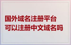 国外域名注册平台可以注册中文域名吗