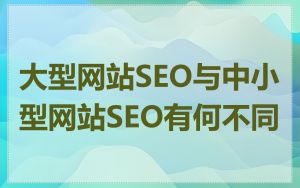 大型网站SEO与中小型网站SEO有何不同