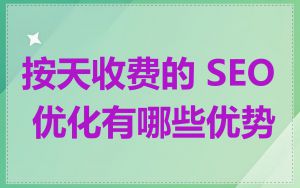 按天收费的 SEO 优化有哪些优势