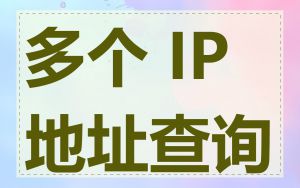 多个 IP 地址查询