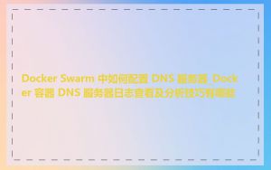 Docker Swarm 中如何配置 DNS 服务器_Docker 容器 DNS 服务器日志查看及分析技巧有哪些