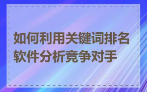 如何利用关键词排名软件分析竞争对手