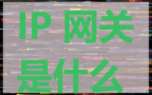 IP 网关是什么