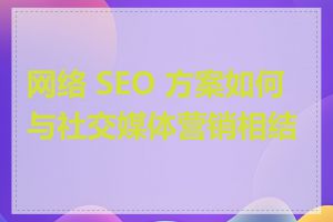 网络 SEO 方案如何与社交媒体营销相结合