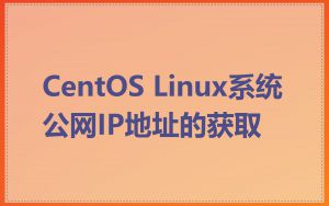 CentOS Linux系统公网IP地址的获取