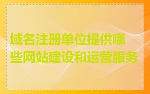 域名注册单位提供哪些网站建设和运营服务