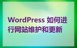 WordPress 如何进行网站维护和更新