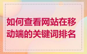 如何查看网站在移动端的关键词排名