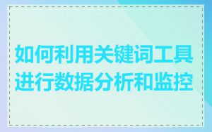 如何利用关键词工具进行数据分析和监控