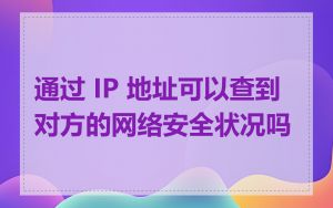 通过 IP 地址可以查到对方的网络安全状况吗