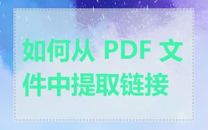 如何从 PDF 文件中提取链接