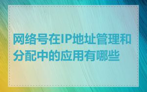 网络号在IP地址管理和分配中的应用有哪些