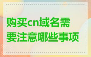 购买cn域名需要注意哪些事项