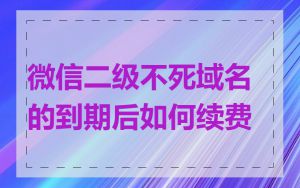 微信二级不死域名的到期后如何续费