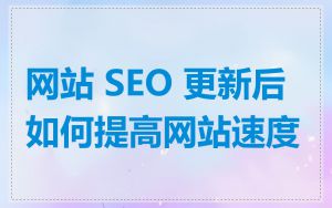 网站 SEO 更新后如何提高网站速度