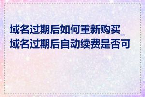 域名过期后如何重新购买_域名过期后自动续费是否可靠