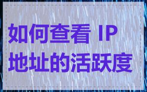 如何查看 IP 地址的活跃度