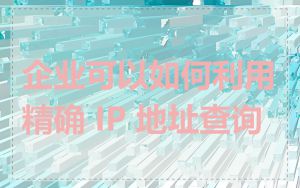 企业可以如何利用精确 IP 地址查询