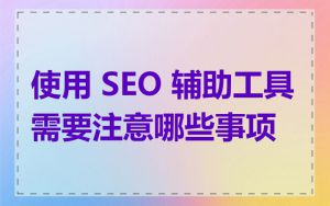 使用 SEO 辅助工具需要注意哪些事项