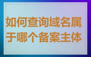 如何查询域名属于哪个备案主体