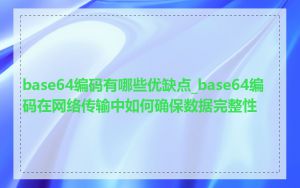 base64编码有哪些优缺点_base64编码在网络传输中如何确保数据完整性