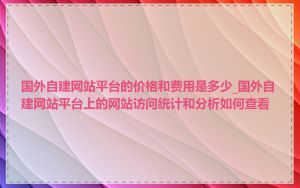 国外自建网站平台的价格和费用是多少_国外自建网站平台上的网站访问统计和分析如何查看