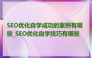 SEO优化自学成功的案例有哪些_SEO优化自学技巧有哪些