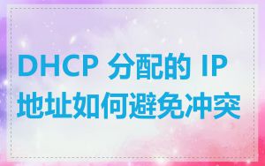 DHCP 分配的 IP 地址如何避免冲突