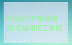 什么是 IP 地址掩码,它是如何工作的