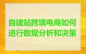 自建站跨境电商如何进行数据分析和决策