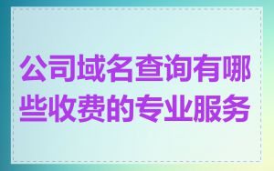 公司域名查询有哪些收费的专业服务