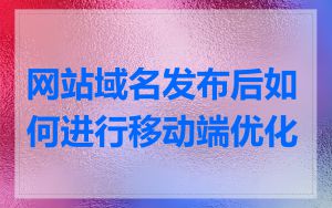 网站域名发布后如何进行移动端优化